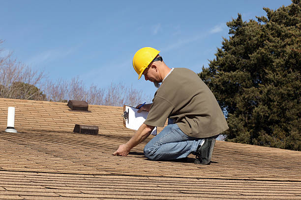 Best Roof Insulation Installation  in Buchanan, VA